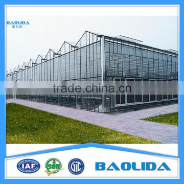 Low Cost Glass Covering Agricultural Greenhose