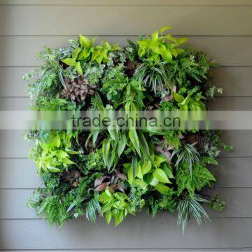 Living Wall Planter