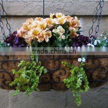 coco planter