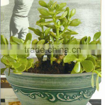 Nursery Pots