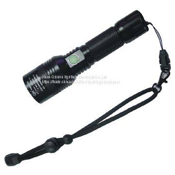 High Intensity Waterproof LED (Mini) Torch