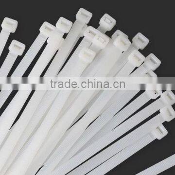 Self Locking plastic Cable ties 8"