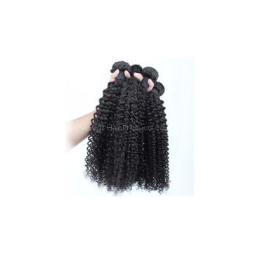 Kinky Curly Malaysian Virgin Hair Weft