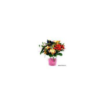 Sell Christmas Flower