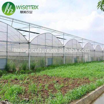 Easily installed commercial tomato multi span greenhouse for sale