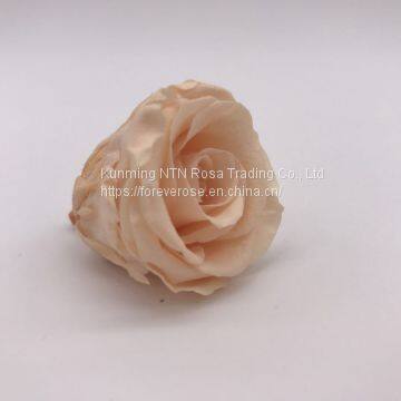 Preserved Rose Flowers for Wedding Decoration Flower Arrangement photo-3