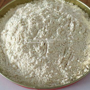 Polygonum Cuspidatum Extract Herbal Plant Extract Resveratrol photo-2