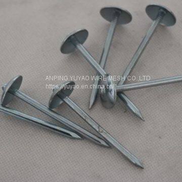 China hardware fastener roofing nails with umbrella head