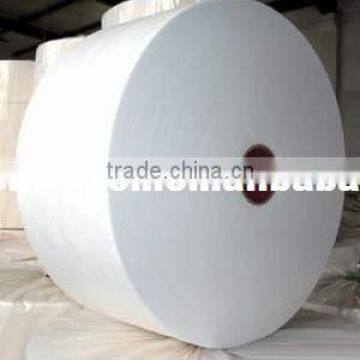 Spunlace Non woven Fabric