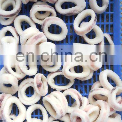 Frozen Todarodes Squid Ring Japan Squid Ring Wholesale photo-5
