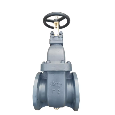 OEM Marine Flange Cast Iron Gate Valves JIS 10K Non Rising Stem 5K FC200 Gate Valve for Ship photo-2
