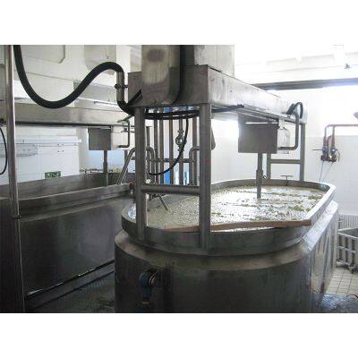 Camembert Cheese Making Machines Production Line