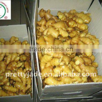 provide chinese yellow ginger