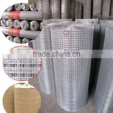 China anping Glavanized welded netting (factory)