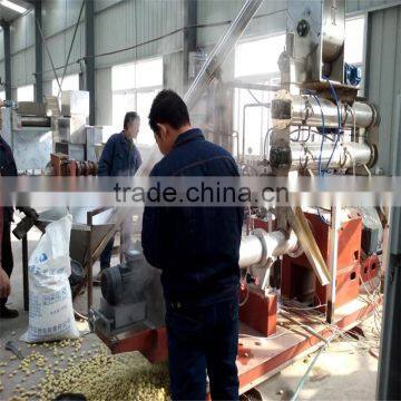 hot sell kenya of twin screw extruder machine