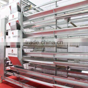 Professional chicken cage manufacturer design automatic A and H type layer chicken cage for sale