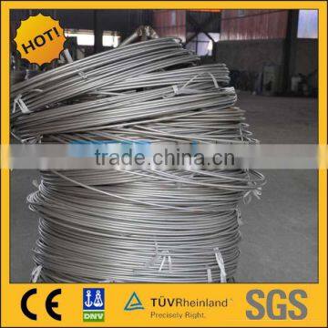 TP 316L stainless steel seamless Coil tube