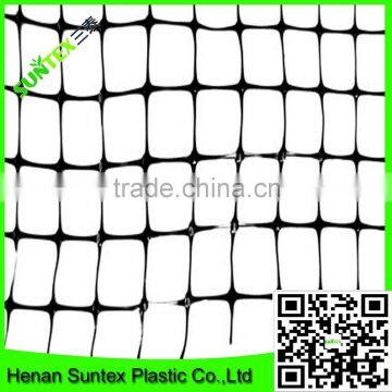 100% virgin bird trapping net,bird netting for sale