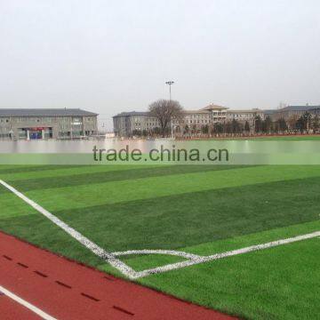 IAAF Approved Polyurethane Running Track for Track and Field photo-5