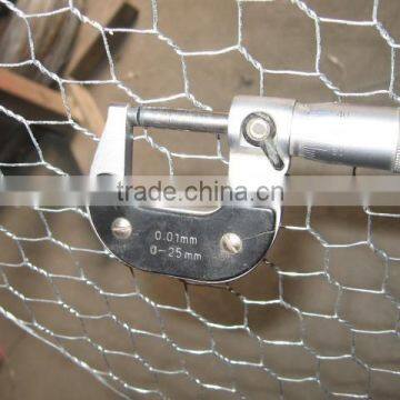 Pvc Coatted Hexagonal Wire Netting photo-4