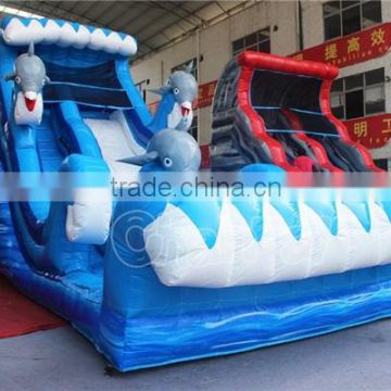 Dolphin Inflatable Water Slide with Pool for Kids