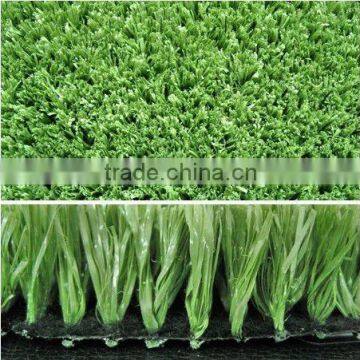 professional sand golf green
