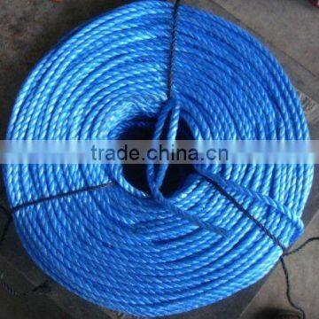 PP blue ROPE