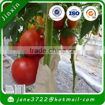 Reusable Ecofriendly Polypropylene Spundonded Nonwoven Tree/Fruit Cover/fruit plantations/Garden bags