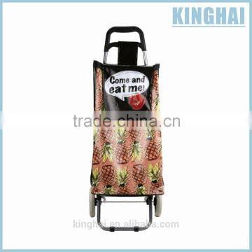 cheap shopping trolley/personal shopping trolley/french shopping trolley