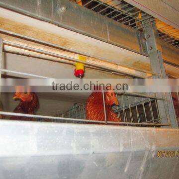 chicken feeding system for layer cage in chicken farm