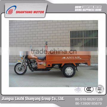 Motorcycle Rickshaw T-rex Motorcycle Trike (SY150ZH- C5)