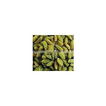 green sultana raisins in bulk- the wise choice