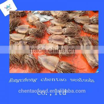 seafood dried squids