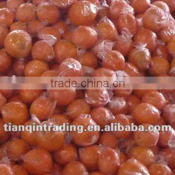 Chinese Navel Orange