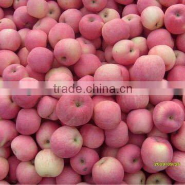 fuji apple for sale