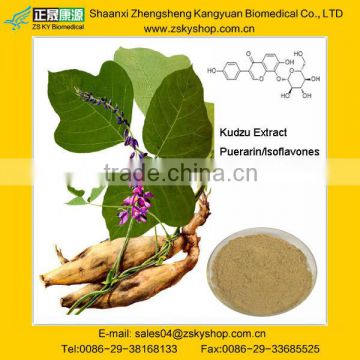 Kudzu Extract powder with Isoflavones 40%