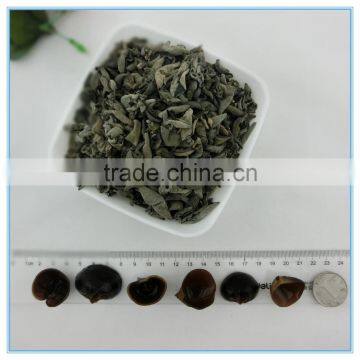 Chinese Black Fungus Extract, Auricularia Auricula photo-2