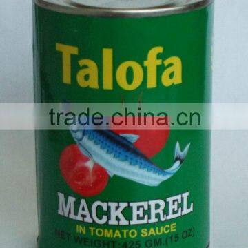 canned mackerel in tomato sauce