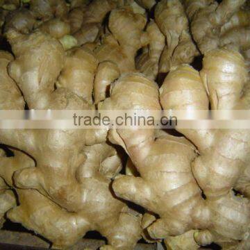 2014Organic Fresh Ginger photo-2