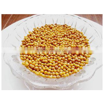 JSX hot sale vigna beans good quality excellent yellow mung beans