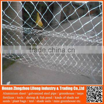 Garden Bird Trap Netting , Anti Bird Net for Agriculture