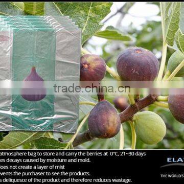 Pears Bag photo-4