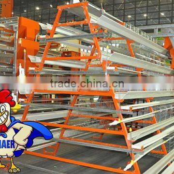 hot sale 5tier types automatic chicken feeding machine for 5tier chicken cage