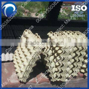 good quality shuliy paper egg tray machine 0086 13503820287