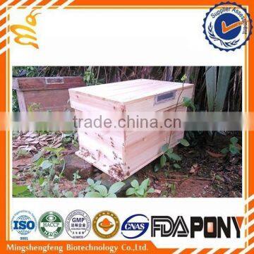 Durable in use beekeeping tools fir bee hive for sale