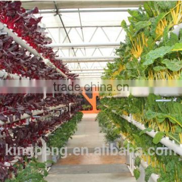 High Quality Multi-span Glass Greenhouse With Hydroponic System