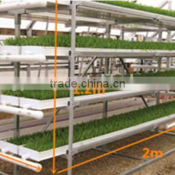 New fodder system of greenhouse