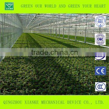 Double-layer Film Greenhouse for Seeding photo-4