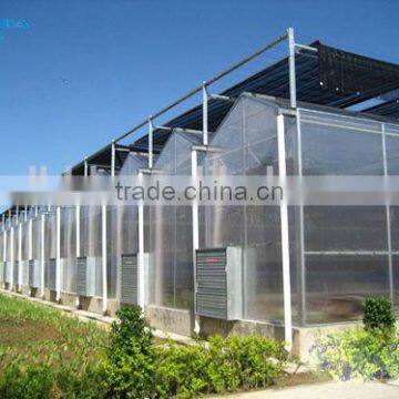 BaoLiDa Agriculture Used Greenhouse photo-2