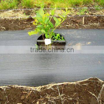 Pp/pe Woven Mesh Tree Weed Mat photo-3